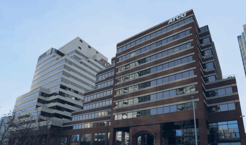 RUMI Offices